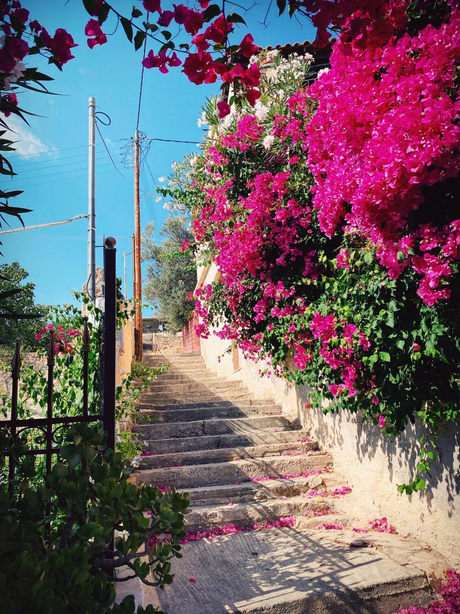Appartement Vue Sur Mer Soul Family, Egine Aegina Luaran gambar
